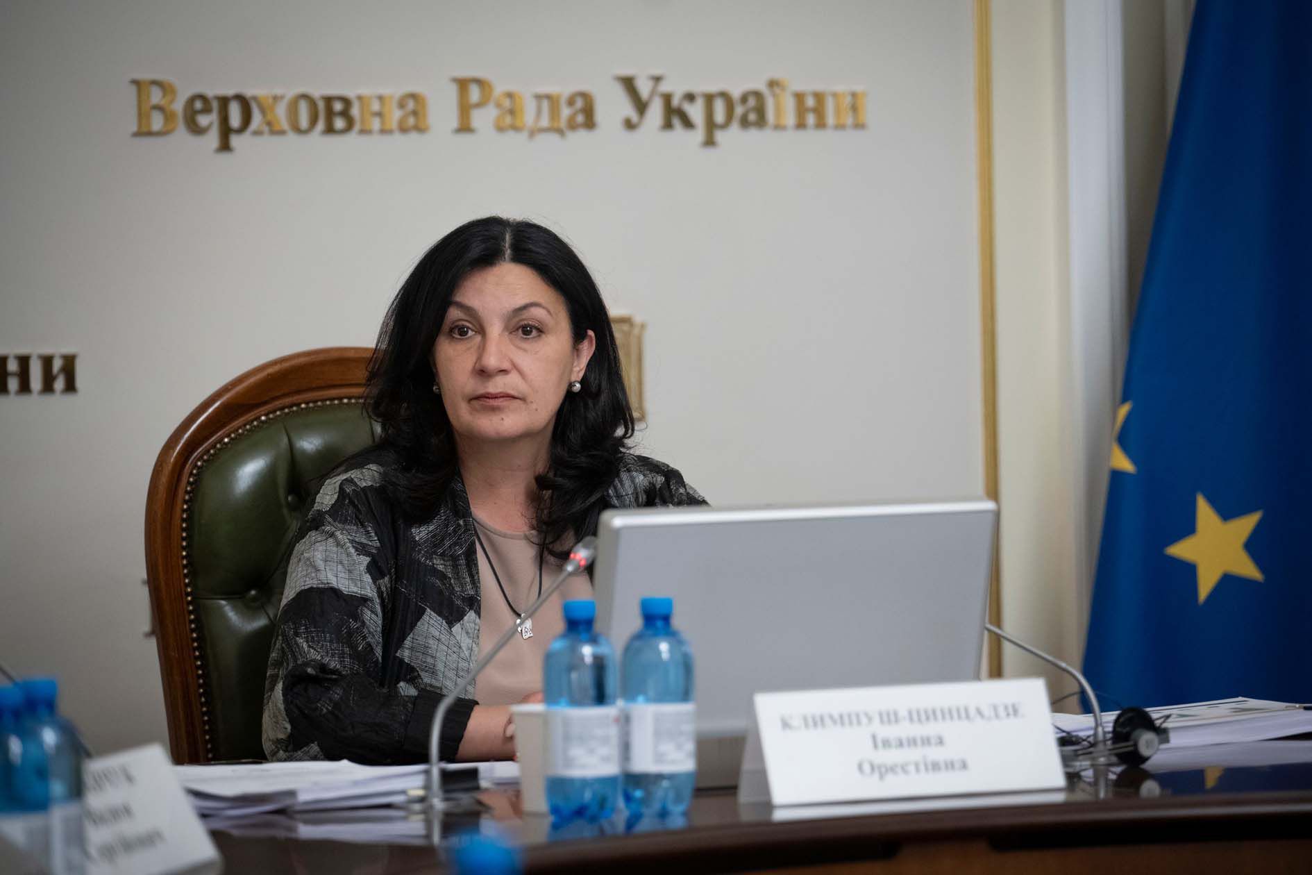 Комітет з питань інтеграції України до ЄС провів спеціальне засідання щодо реалізації Ukraine Facility